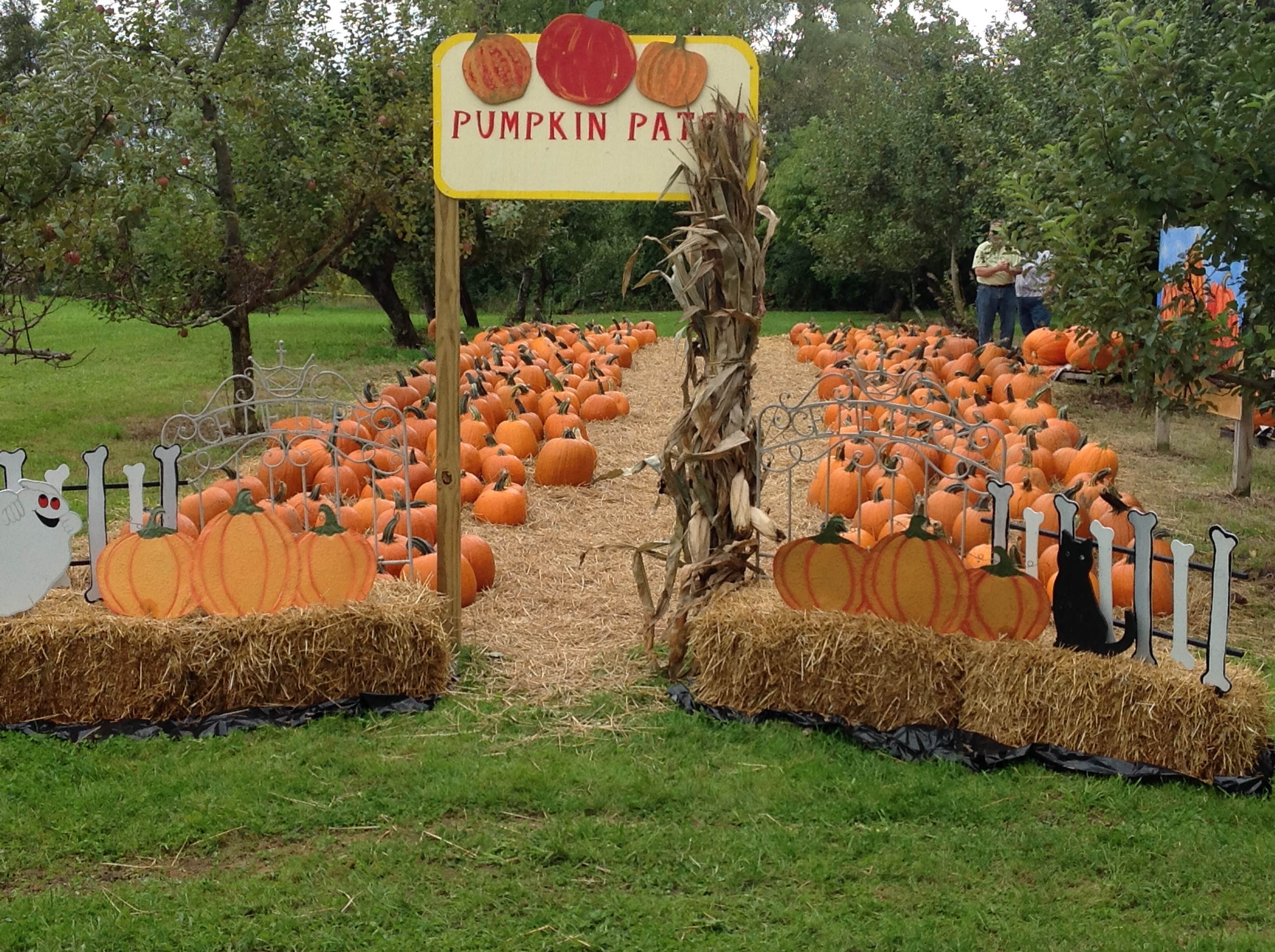 Orchard 2014 pics 1527.JPG