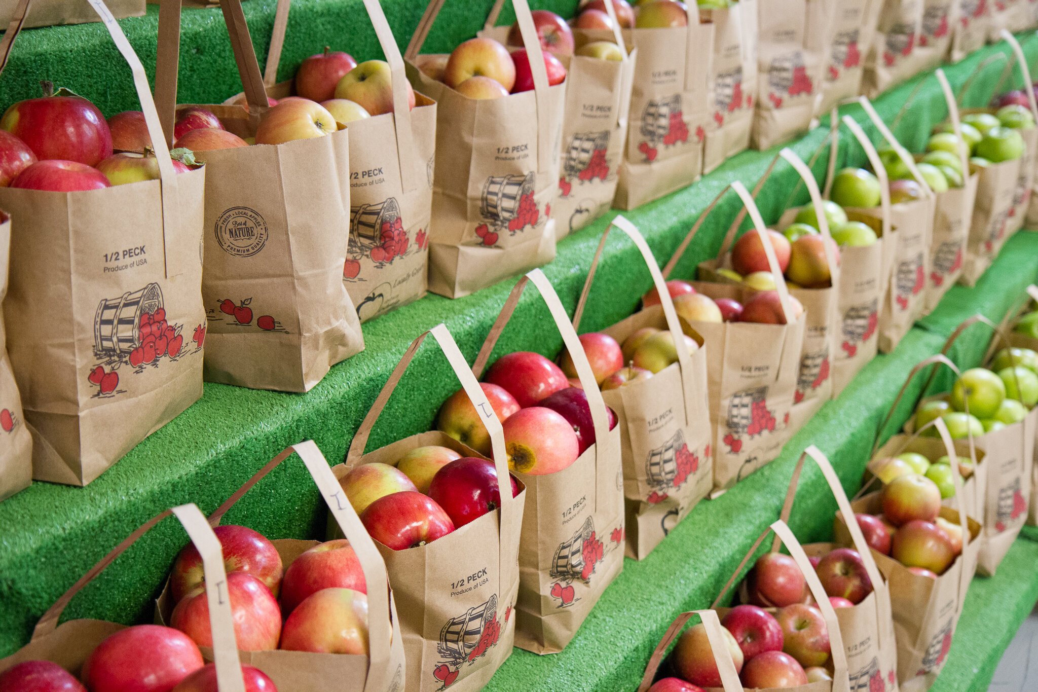 Orchard-4.jpg